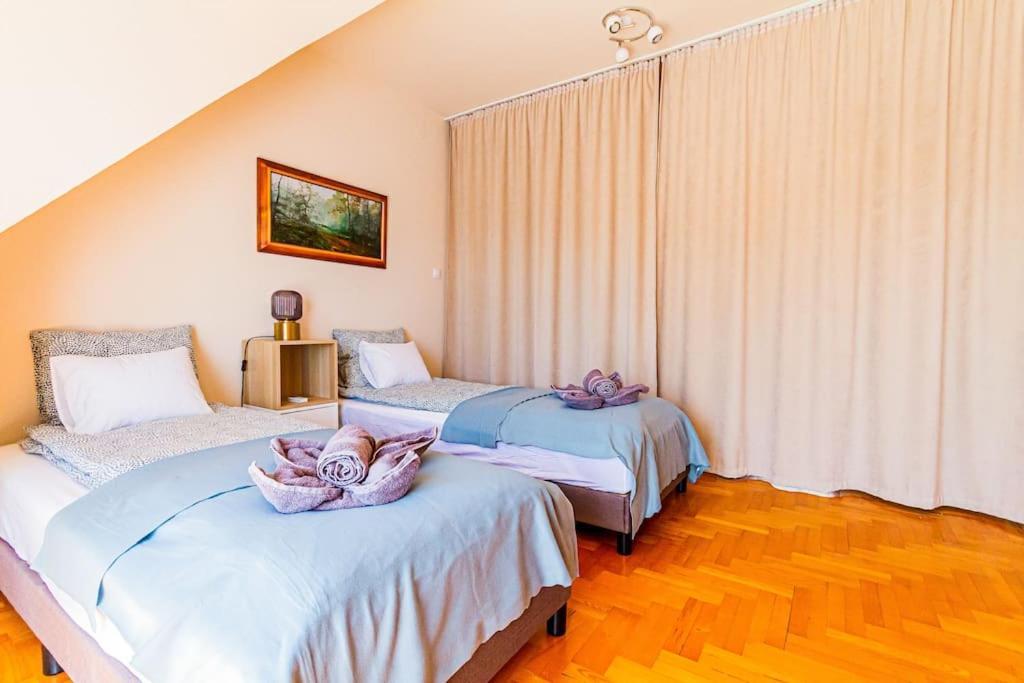 Roomy Apartment 80Sqm At City Center Free Parking Space, Ac & Balcony Budapest Exterior foto